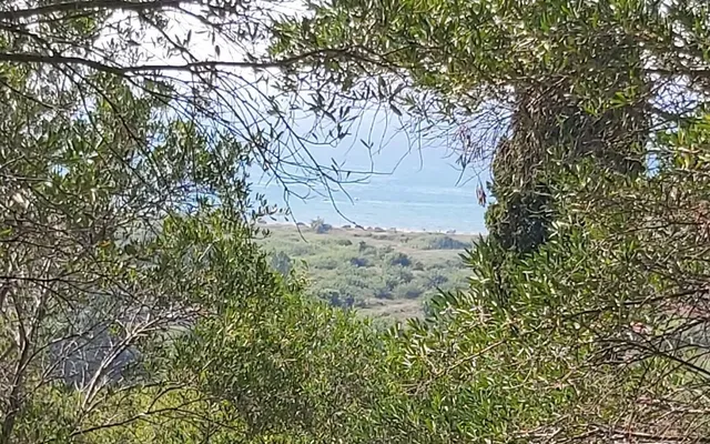 Земельный участок в Corfu