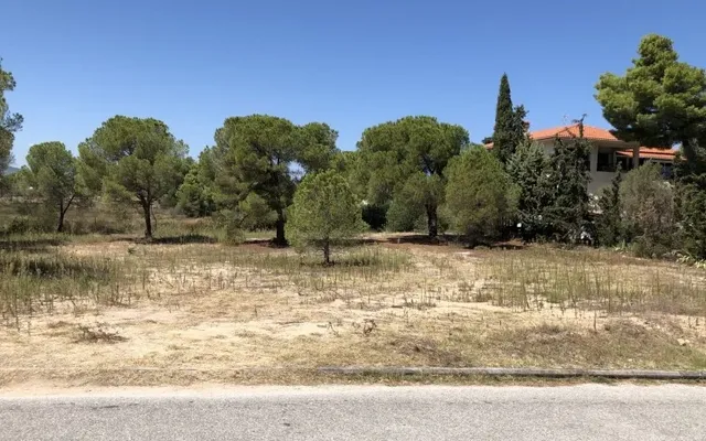Земельный участок в Ситониа