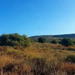Земельный участок в Гувес, фото 2