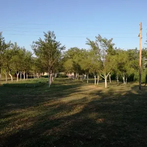Усадьба в Никшич, фото 4