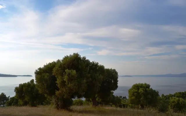 Земельный участок в Kassandra Municipality