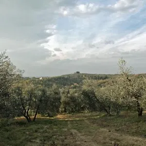 Квартира в Чертальдо, фото 3