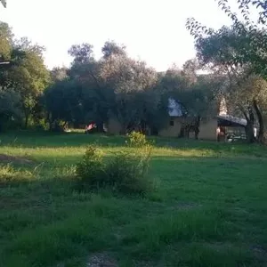 Земельный участок в Кавач, фото 3