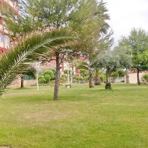 Квартира в Торревьеха, фото 4
