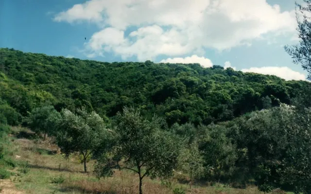 Земельный участок в Corfu
