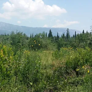 Земельный участок в Corfu, фото 3