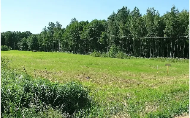 Земельный участок в Сыйтме