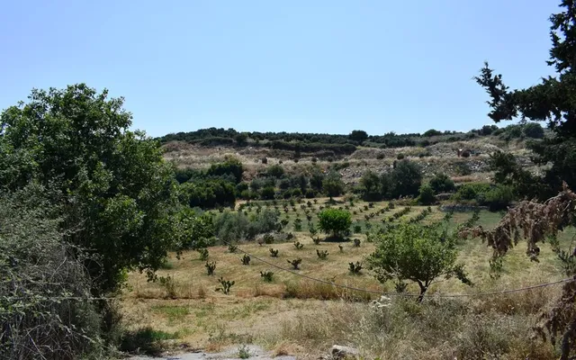 Земельный участок в Ancient Lappa