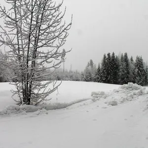 Дом в Южное Саво, фото 4