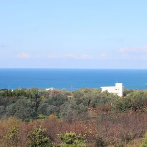 Вилла в Город Пафос, фото 4