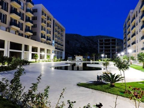 Студия в Шенджин