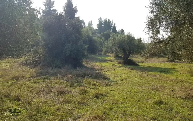Земельный участок в Kassandra Municipality