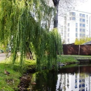 Квартира в Старая Рига, фото 3