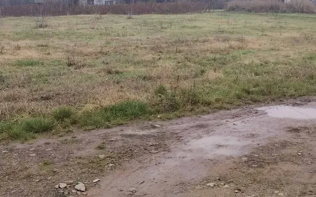 Земельный участок в Лозница