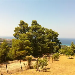Земельный участок в Kassandra Municipality, фото 4