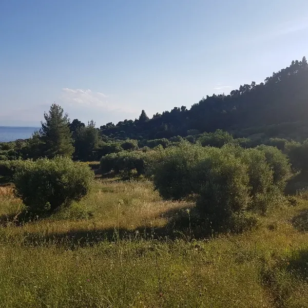Земельный участок в Kassandra Municipality, фото 2
