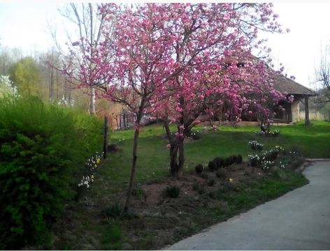 Земельный участок в Рогашка-Слатина