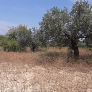 Земельный участок в Ситониа, фото 4
