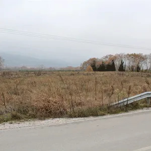 Земельный участок в Дион, фото 2