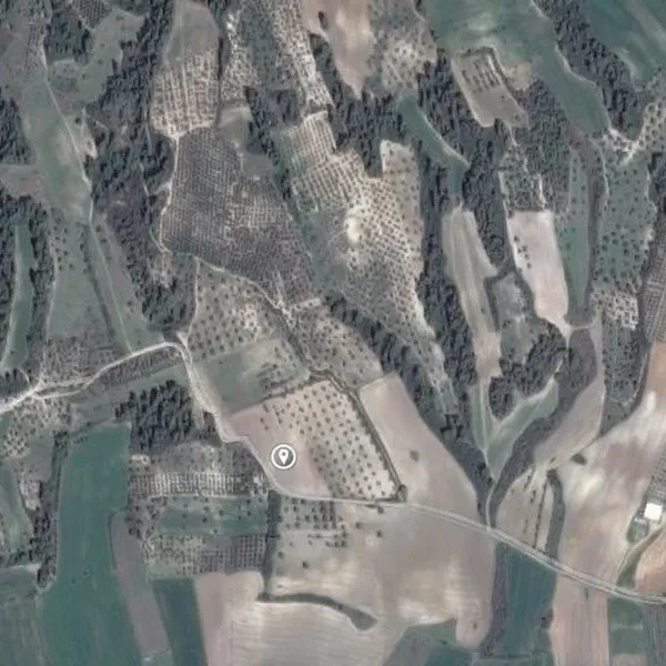 Земельный участок в Kassandra Municipality, фото 1