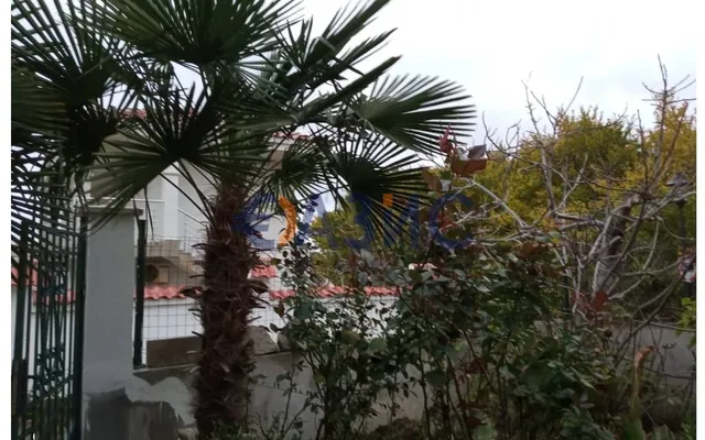 Дом в Черноморец
