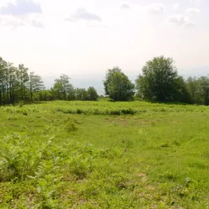 Земельный участок в Катерини, фото 5