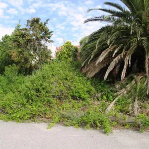 Земельный участок в Kassandra Municipality, фото 5