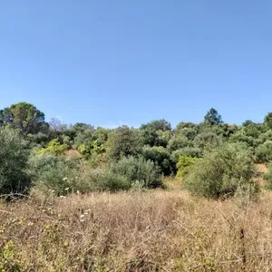 Земельный участок в Corfu, фото 3