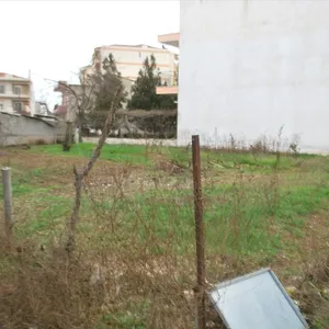 Земельный участок в Лариса, фото 3