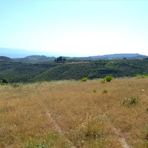 Земельный участок в Kassandra Municipality, фото 4