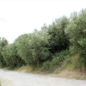 Земельный участок в Ситониа, фото 2
