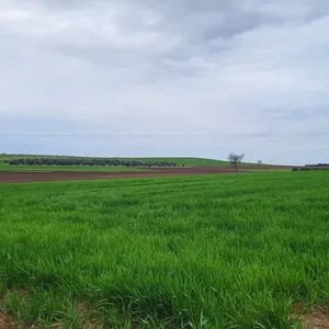 Земельный участок в Kassandra Municipality, фото 3