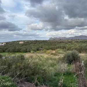 Земельный участок в Акротири, фото 3