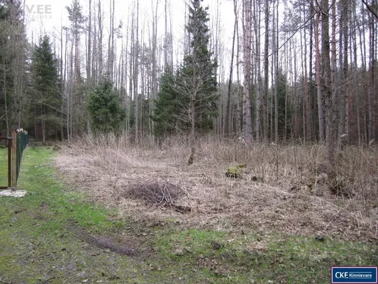 Земельный участок в Лауласмаа
