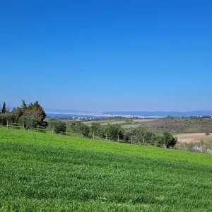 Земельный участок в Микра, фото 5