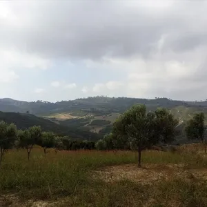 Земельный участок в Kassandra Municipality, фото 5
