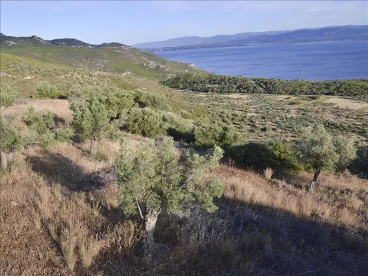 Земельный участок в Loutraki - Perachora