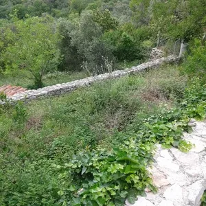 Земельный участок в Режевичи, фото 5