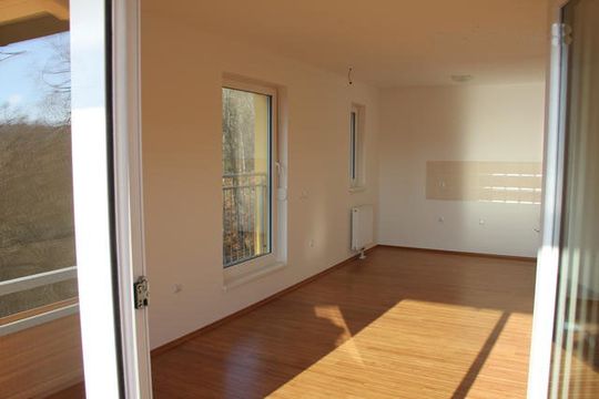 Квартира в Крань