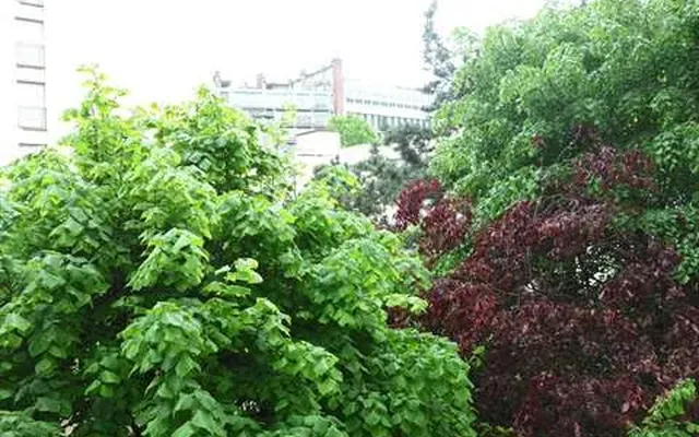 Квартира в Париж
