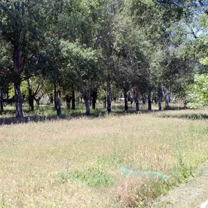 Земельный участок в Kassandra Municipality, фото 4
