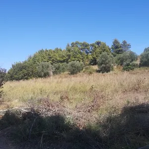 Земельный участок в Kassandra Municipality, фото 3