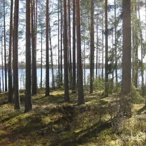Земельный участок в Руоколахти, фото 5