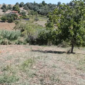 Земельный участок в Kassandra Municipality, фото 4