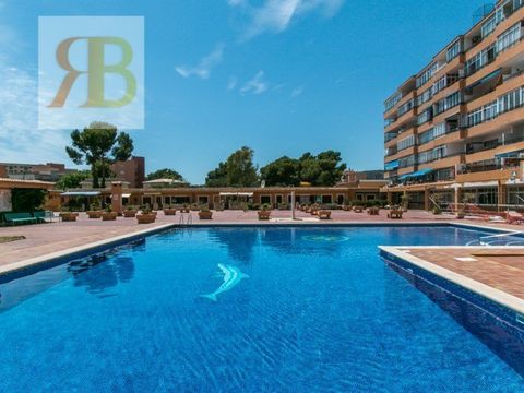 Студия в Пальманова