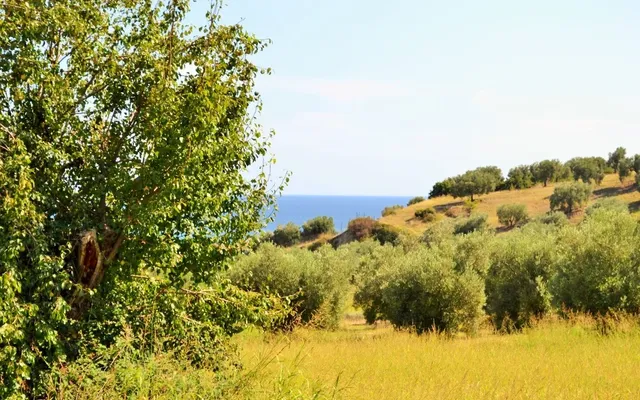Земельный участок в Kassandra Municipality