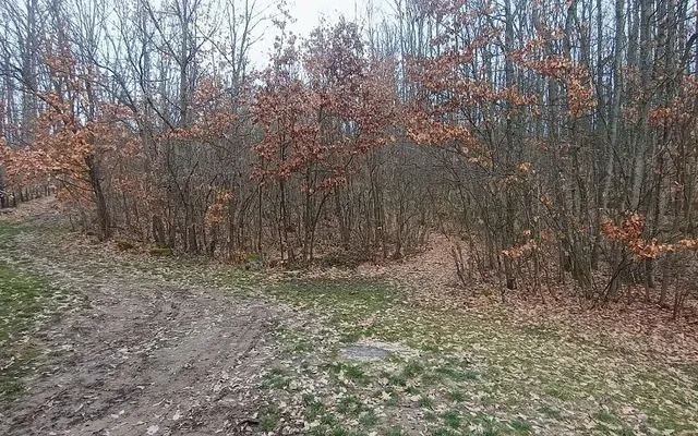 Земельный участок в Чачак