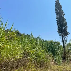 Земельный участок в Corfu, фото 5