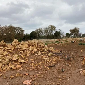 Земельный участок в Вамо, фото 2
