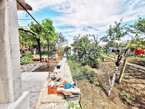 Дом в Ахелой